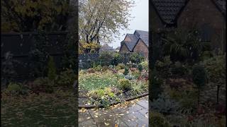 First Snow Here In Essex England ❄️ shorts garden englishgarden [upl. by Tirrell25]