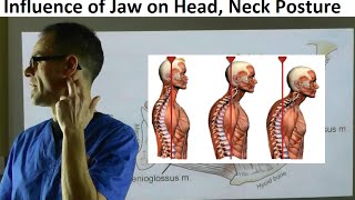 Why the Position of Jaw Influences Head Neck amp Body Posture by Dr Mike Mew [upl. by Jehial]