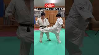 【武道・格闘技】昔から言われる心技体とは 解説！！ aikido ＃karate martial 武道 ＃空手＃合気道＃筋トレselfdefens [upl. by Itsrejk]