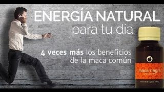 Propiedades y beneficios de la Maca Negra [upl. by Annat794]