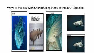 Fun With Numbers by Adding Ways to Make 5 With Sharks Usimg Many of the 400 Species 3 [upl. by Dedie565]