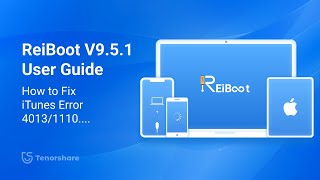 Tenorshare Reiboot iOS 18 Guide How to Fix iTunes Error 40131100 [upl. by Tiebold]