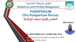 lecture 5 PUERPERIUM Postpartum Period Obstetrics and Fertility Management Course Alsalam Uni [upl. by Solraced]