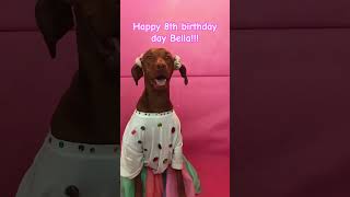 HAPPY BIRTHDAY BELLA the 15th🌸🩷🌸 [upl. by Treva]