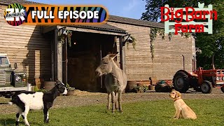 Big Barn Farm  Season 1 Episode 16  Hide and Seek [upl. by Etteloiv484]