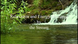 Relaxation and Energy Recharge by the Stream meditation music relaxing music ASMR [upl. by Nashom]