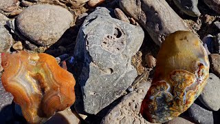 Top Notch Agate Jasper and Marine Fossil Collecting rockhounding [upl. by Oza543]