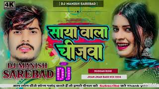 साया वाला चिजवा। Brand Song Raushan Rohi Ka Gana । Saya Wala Chijwa ।RK DJ HILSA। 2024 [upl. by Janik840]