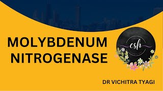 STRUCTURE OF MOLYBDENUM NITROGENASE [upl. by Hgielrebmik]