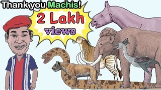 பழங்கால மிருகங்கள் அளவின் ஒப்பீடு PREHISTORIC ANIMALS SIZE COMPARISONAFTER DINOSAURS EXTINCTION [upl. by Ettevi537]