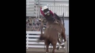 Garrett Shadbolt Makes Highest Marked Ride of FarmCity Pro Rodeo With 88 in Round 2  shorts [upl. by Pfeifer]