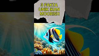 3 Fakta unik tentang ikan Moorish Idol ikan moorish fish animals fyp viralvideo shorts [upl. by Ilrebma]