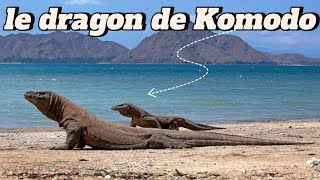 choses à savoir sur le dragon de Komodo [upl. by Nate]