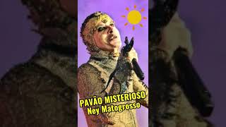 PAVÃO MISTERIOSO DE NEY MATOGROSSO  Poema Pro Dia Nascer Feliz pavaomisterioso neymatogrosso [upl. by Schroer73]