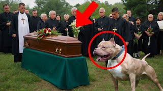 DOG BARKS AT THE COFFIN DURING FUNERAL WHEN A MAN ASKS WHY THE PRIEST GETS NERVOUS AND… [upl. by Ayenat841]