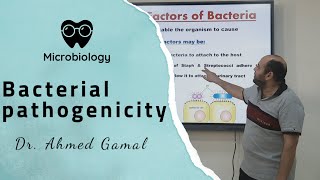 microbiology  Bacterial pathogenicity  DrAhmed gamal  BSNU [upl. by Brecher735]