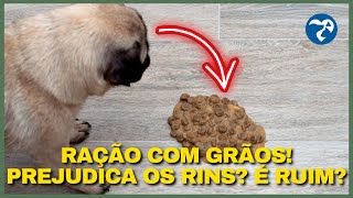 ABSOLUTAMENTE Tudo Sobre a Ração farmina NampD ancestral grain Frango e Romã Mini Cães Filhotes [upl. by Docilu575]