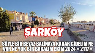 ŞÖYLE BİR BEYAZ BALİNAYA KADAR GİDELİM NE VAR NE YOK BİR BAKALIM EKİM 2024  2117 [upl. by Yendis337]