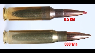 Can The 65 Creedmoor Replace the 308 Win As A SHTF Cartridge [upl. by Garrard218]