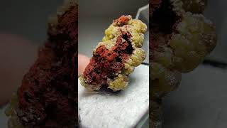 Mimetite and Limonite Chihuahua Mexico [upl. by Swetlana]