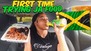 Trying Jamaican food for the FIRST TIME ‼️110 Jamaican patties Oxtails amp Jerk chicken [upl. by Akiner]