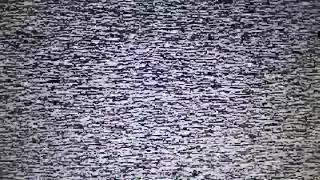 10 Hours  No Signal  TV Static Noise  White Noise  FullHD 🤔😱 [upl. by Ibloc]