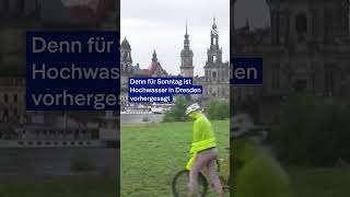 Wettlauf gegen die Zeit bei eingestürzter Brücke in Dresden  DW Nachrichten [upl. by Matthaus]