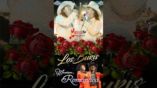 Los Bukis Mix Romanticas 2024 musica romanticas romanticos [upl. by Isus614]