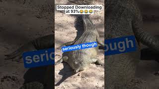 Gharial silly crocodile meme [upl. by Xela138]