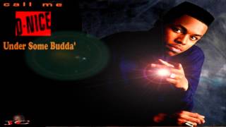 D Nice  Under Some Budda Call Me D Nice 1990 [upl. by Ayoras]