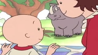 Caillou en Français  Caillou et Laventure au Zoo  dessin animé en francais  conte pour enfant [upl. by Ayirp]