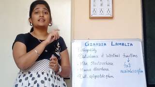 Giardia Lamblia morphology Life cycle in hindi Pathogenesis in hindi Lab diagnosis [upl. by Ettevol]