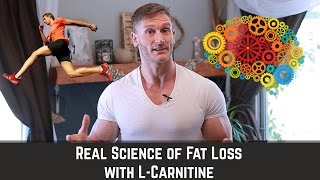 LCarnitine  How to Mobilize Fat amp Enhance Brain Health  Thomas DeLauer [upl. by Oirramaj]