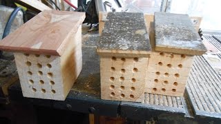 Building Managable Mason Bee Housing [upl. by Melba173]