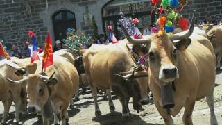 Fête de la transhumance en Aubrac [upl. by Alehs]