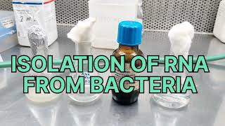 Isolation of Total RNA form Bacteria Molecular biology and Techniques Stepwise procedure [upl. by Nehgam]