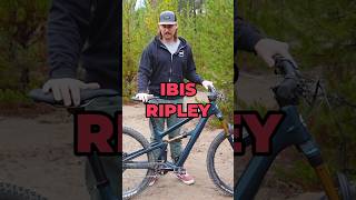 2025 Ibis Ripley V5 Review mtb shorts [upl. by Amethyst]