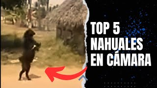 5 NAHUALES REALES CAPTADOS en LA VIDA REAL y en CÁMARA [upl. by Ecnarrot633]