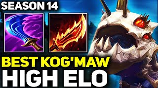 RANK 1 BEST KOGMAW DOMINATING HIGH ELO IN SEASON 14  League of Legends [upl. by Aropizt]