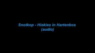 Snotkop  Hiekies in Hartenbos audio [upl. by Haraz]