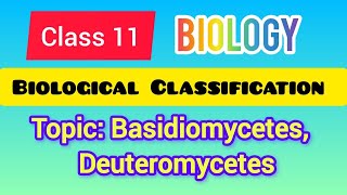 Class 11  Biology Biological Classification Topic Basidiomycetes Deuteromycetes ncert [upl. by Zorina]