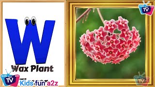 Flowers ABC Song  Flowers Alphabet Song  Phonics for Kids  English Alphabet Letters [upl. by Alleoj]