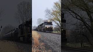 Norfolk Southern train 309 with 1140 leading and horn shorts trending foryou [upl. by Bahner847]