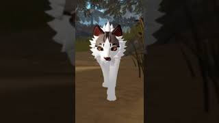 Light feather wcueroblox cat wcue warriors wcueedit funnyvideos edit wcueupdate [upl. by Flann194]