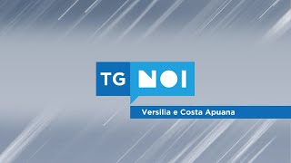 Tg Noi Versilia e Costa Apuana  10082024 [upl. by Arikaahs]