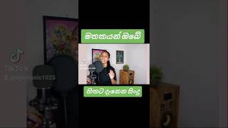 Tiktok song mathakayan obe sinhalanewsong song sinhalacoversongscollection musiccover [upl. by Merari]