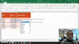 Indexcijfers berekenen in excel deel 1 [upl. by Hras]