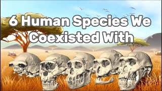 6 Ancient Human Species We Once CoExisted With [upl. by Wernda597]