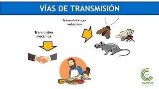 Métodos Analíticos de Microbiologia de Alimentos Preparo de Amostras e Diluições [upl. by Maidy]