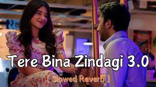 Tere Bina Zindagi 30 Slowed Reverb Song  Love mashup song  MUSIC ADDA  new release song [upl. by Enirahtac]